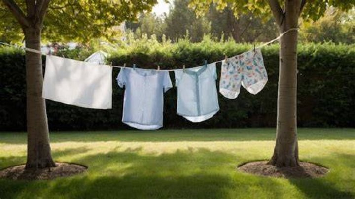How do you hang a clothesline between two trees?
