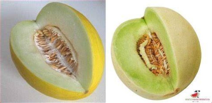 How much does a honeydew melon weigh?