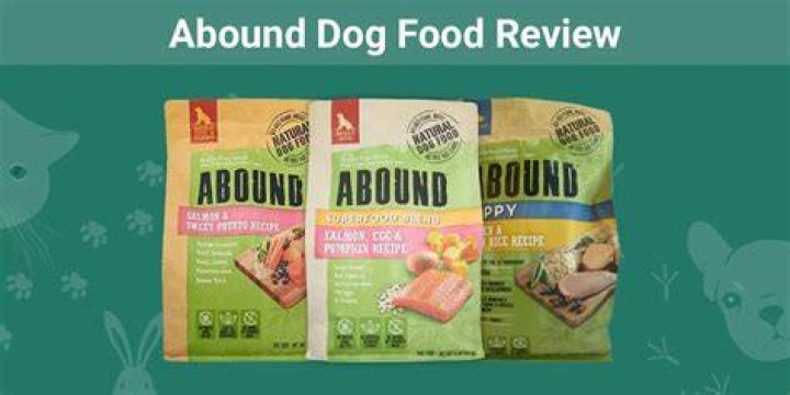 What company makes abound dog food?