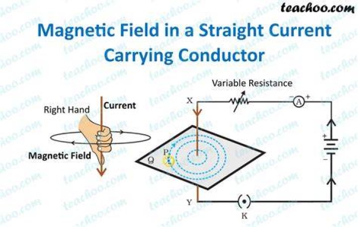What happens when a magnet is placed near a current carrying wire?