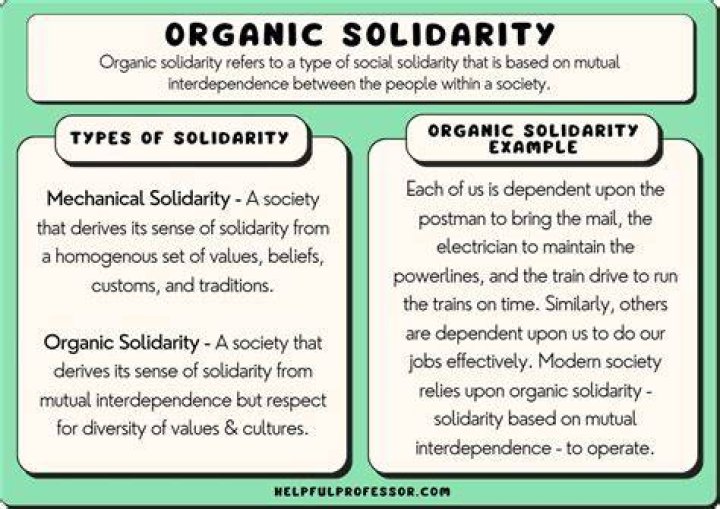 What is an example of organic solidarity?